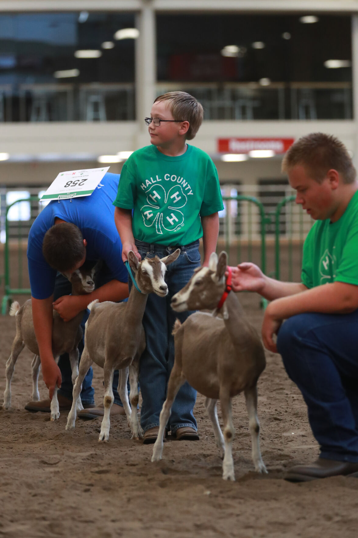 072320_HCFGoatShow022_bjs.JPG